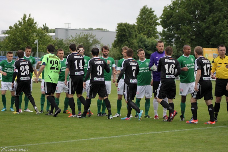 Warta Poznań - Sandecja Nowy Sącz 2:2 | fot. Elżbieta Skowron