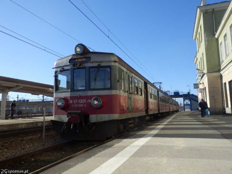 fot. Karol Szapsza/wikimedia/CC BY SA 40