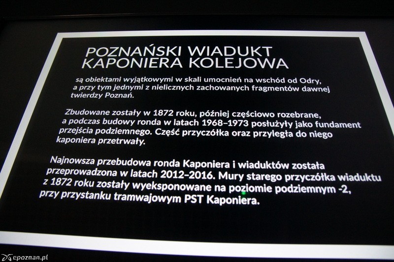 fot. Włodzimierz  Hoppel