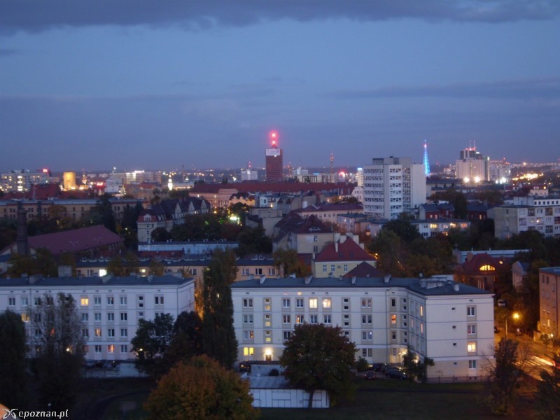 fot. Tomasz Dobiecki / archiwum