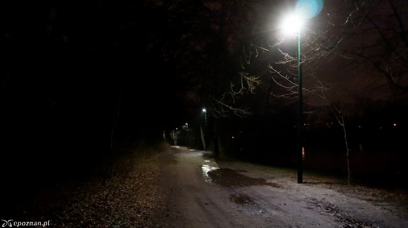 fot. Urząd Miasta