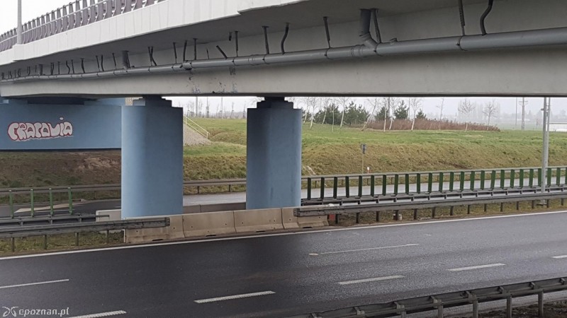 fot. Adam Michta / Rokietnica wokół nas