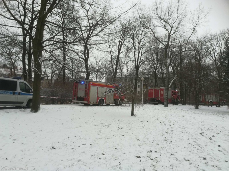 fot. czytelniczka