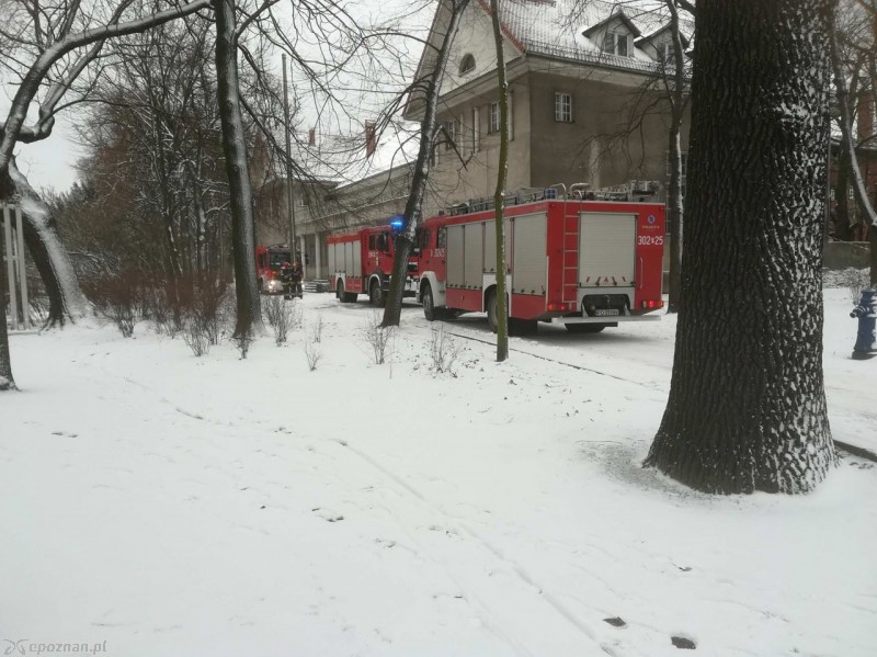 fot. czytelniczka