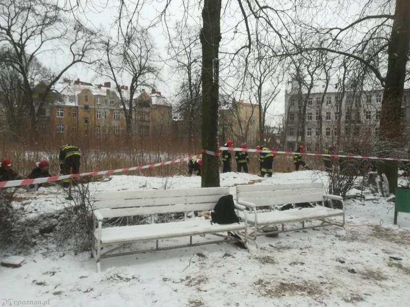 fot. czytelniczka