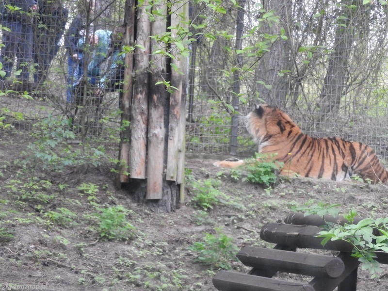 fot. ZOO Poznań
