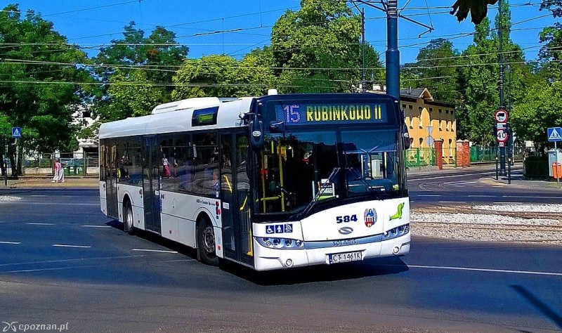fot. Mateuszgdynia/wikimedia/CC40