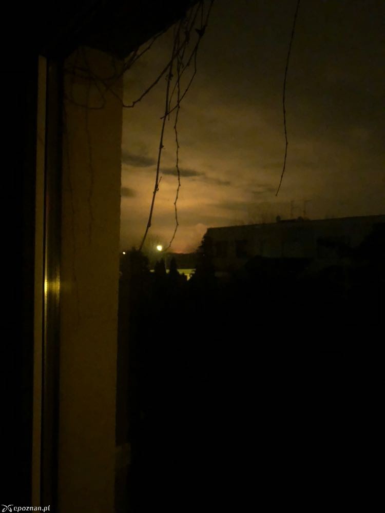 fot. Jan
