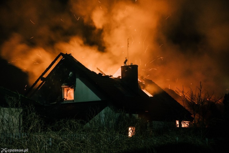 fot. Miłosz Kosicki