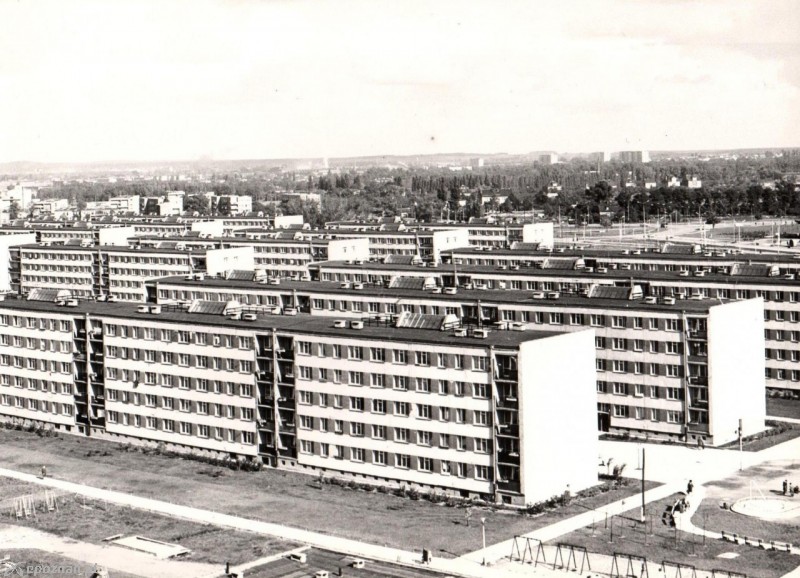 fot. Archiwum SM Osiedle Młodych