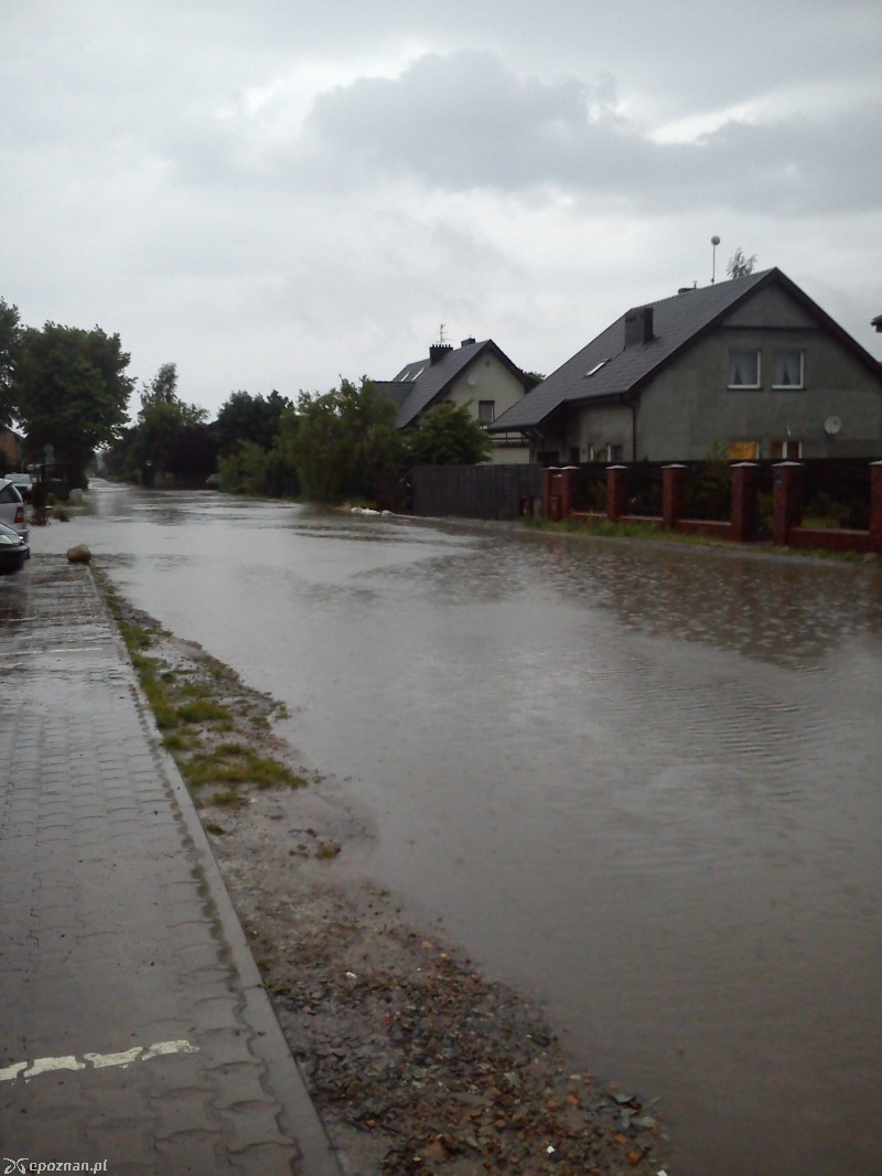 fot. Tomasz Melnik