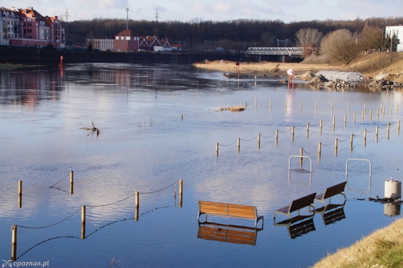 fot. Włodzimierz  Hoppel