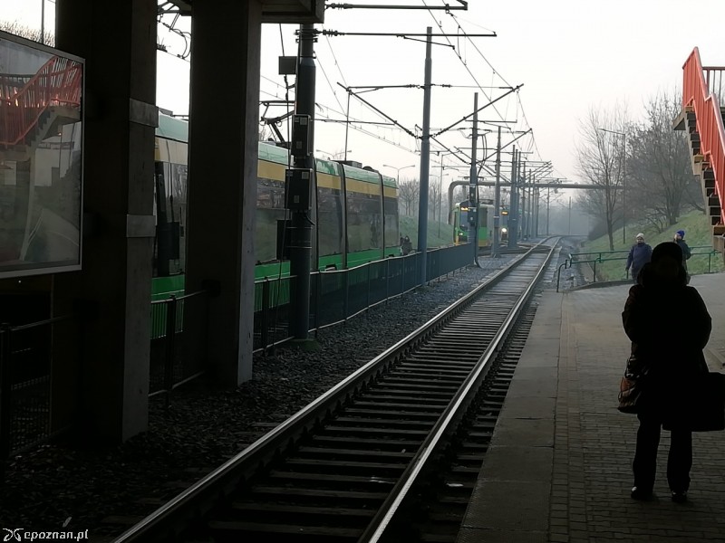 fot. czytelnik
