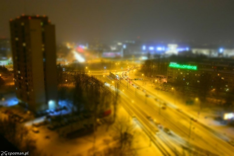 fot. Dariusz Włochal