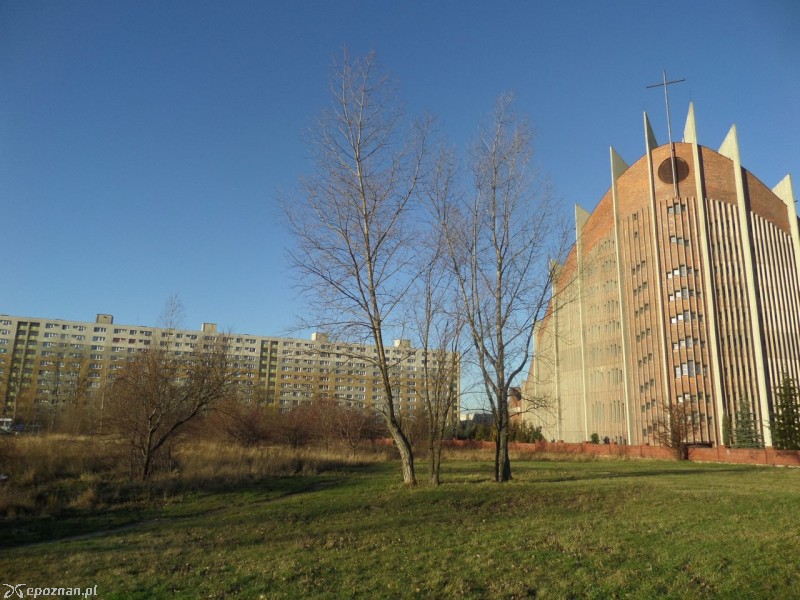 fot. PoPoznaniu.pl