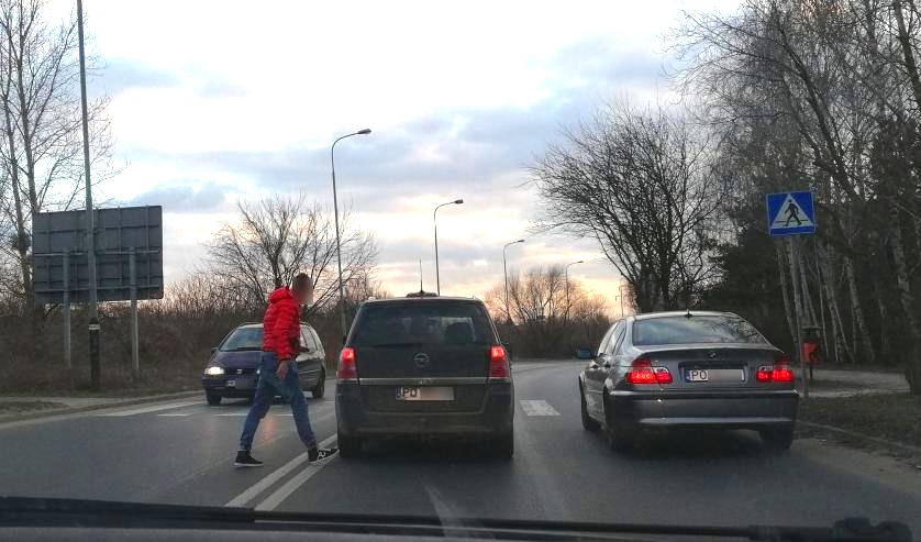 fot. czytelniczka