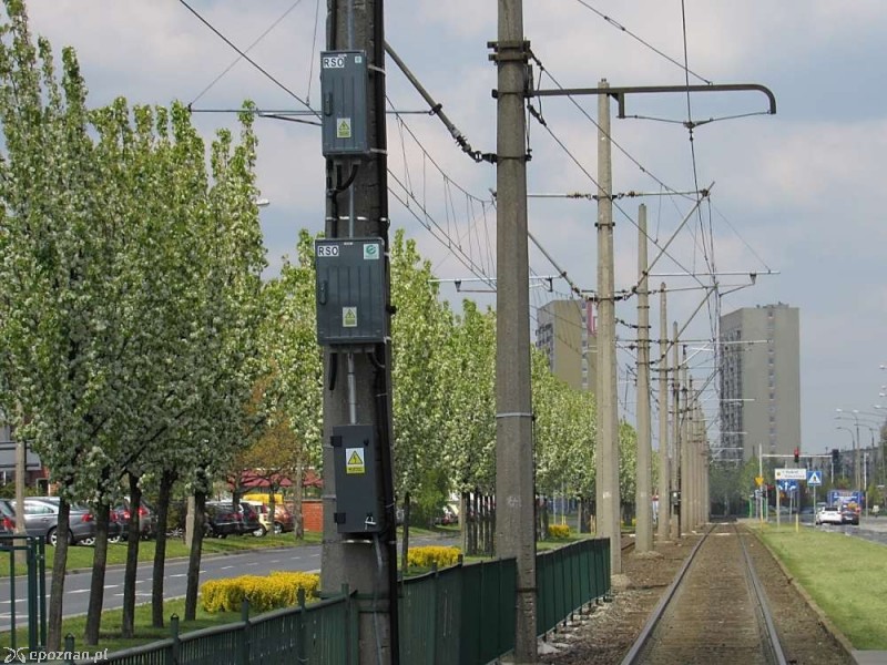 fot. ZTM Poznań