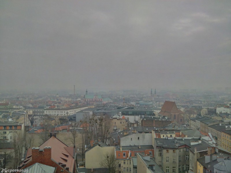 Zdjęcie z poniedziałku | fot. czytelnik