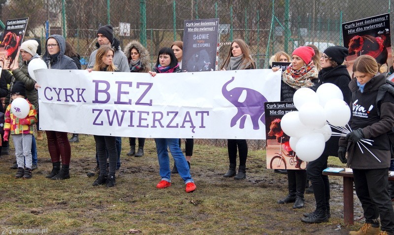 fot. Włodzimierz  Hoppel