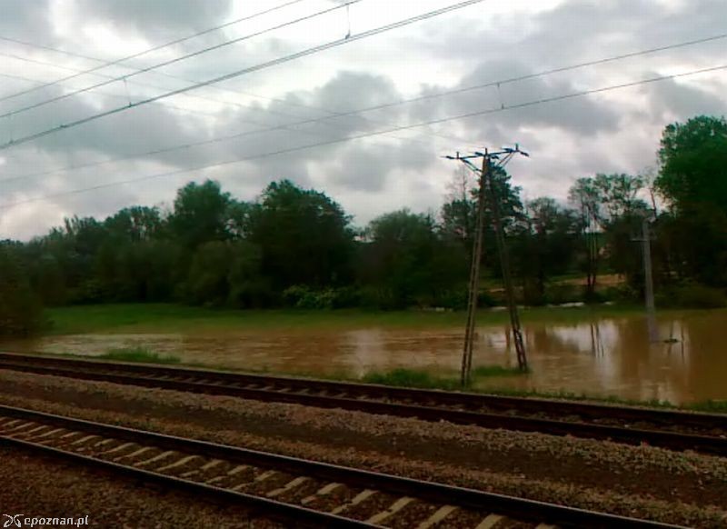 Podtopienia na południu Polski widziane z pociągu relacji Kraków - Poznań | fot. Adrian Hewusz