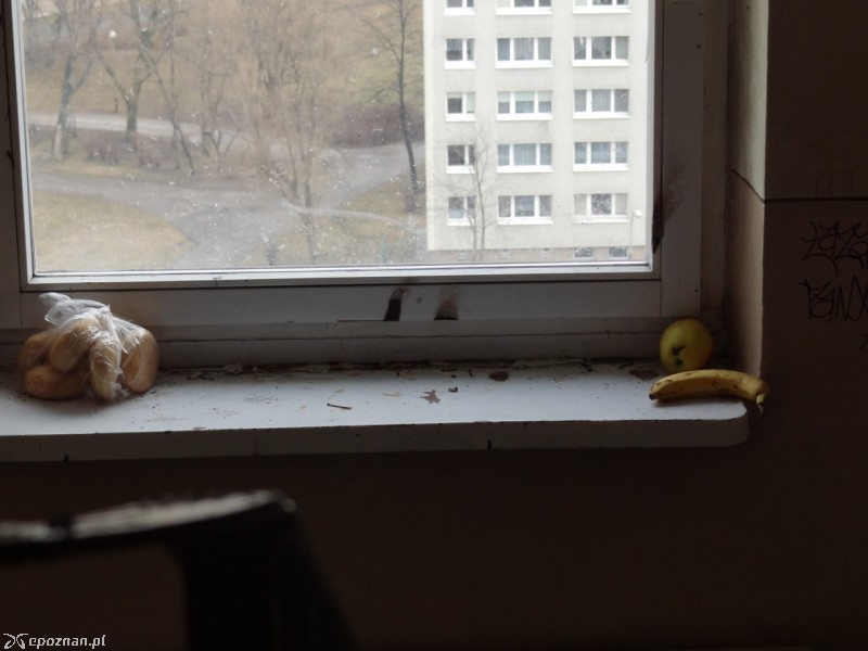 fot. czytelniczka
