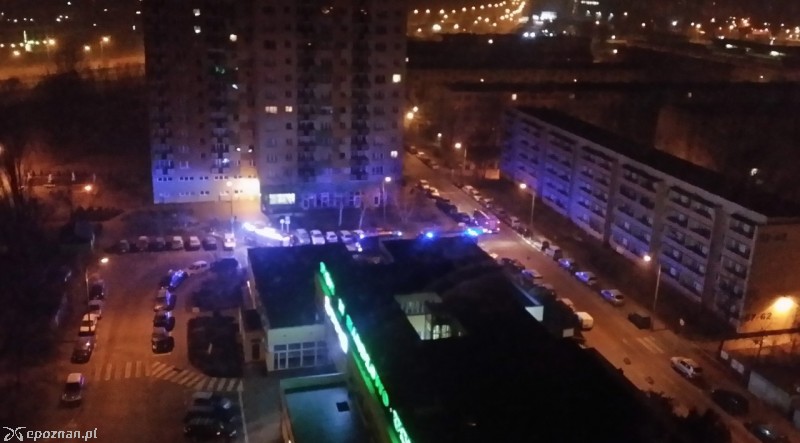 fot. Paulina