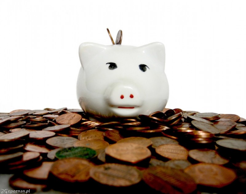 fot. Penny Mathews / freeimages.com