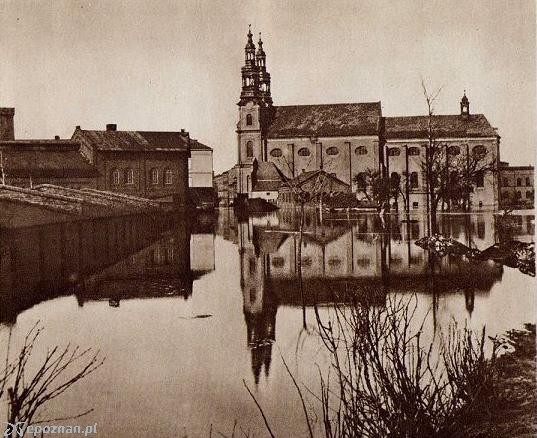 fot. poznan.wikia.com