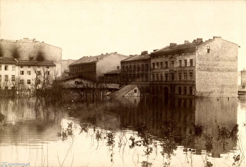 fot. poznan.wikia.com
