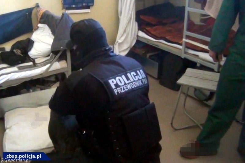 fot. policja