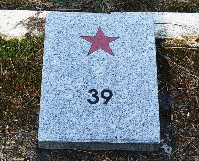 fot. MOs810/wikimedia