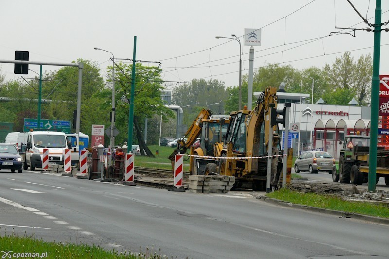 fot. Elżbieta Skowron