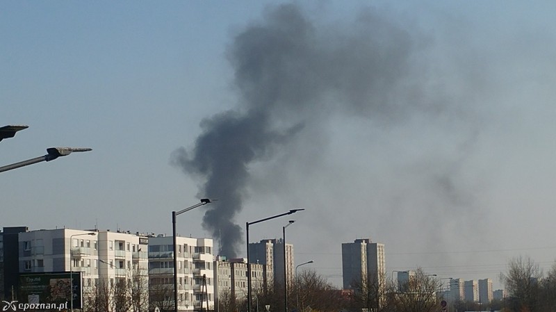 fot. czytelnik
