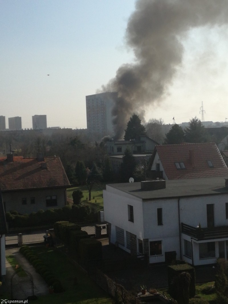 fot. czytelnik