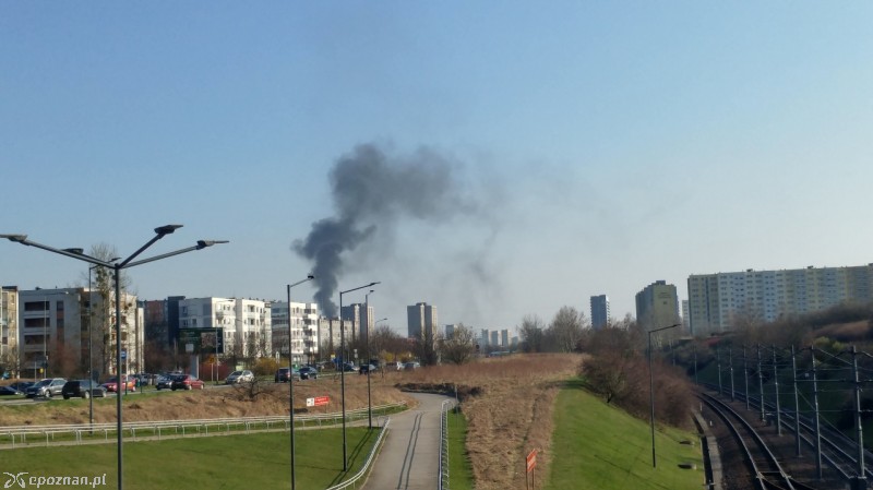 fot. czytelnik