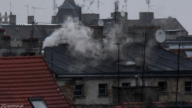 fot. poznan.pl