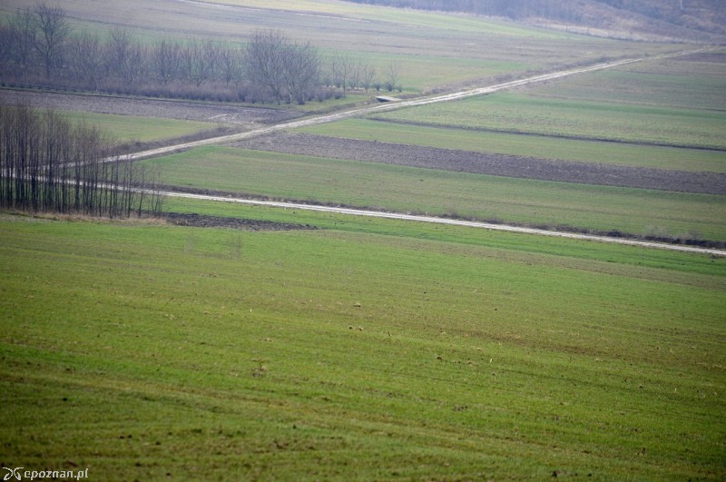 fot. Darek Delmanowicz/PAP