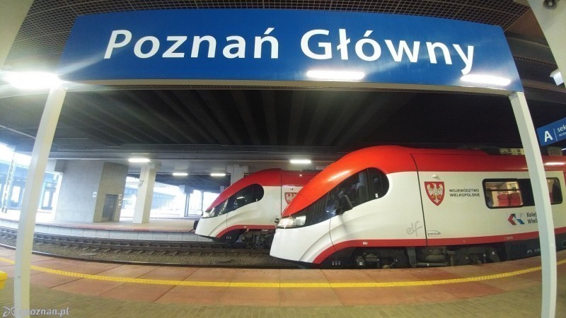 fot. fot. czytelnik