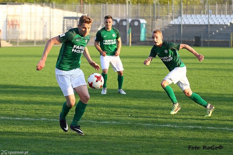 fot. Roger Gorączniak