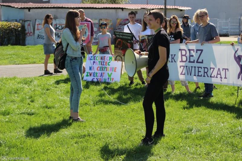 fot. Renata Winczewska