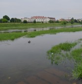 fot. Krzysztof Szczotka