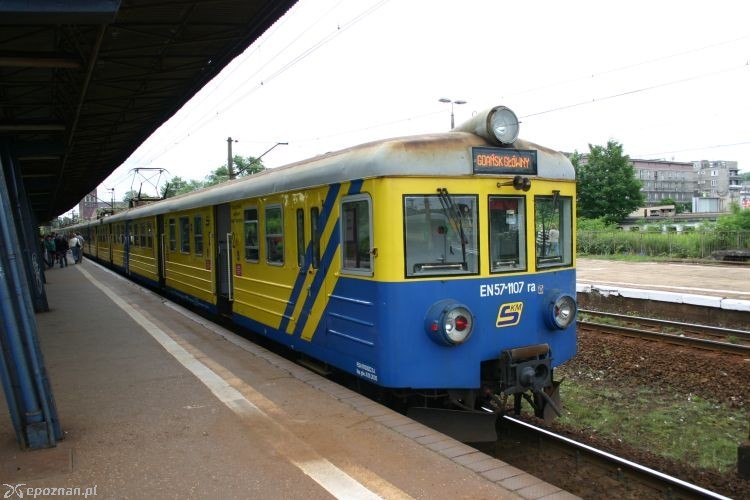 fot. Manfred E. Fritsche/CC BY-SA 2.0 de/wikimedia