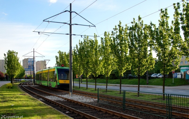 fot. Włodzimierz Hoppel