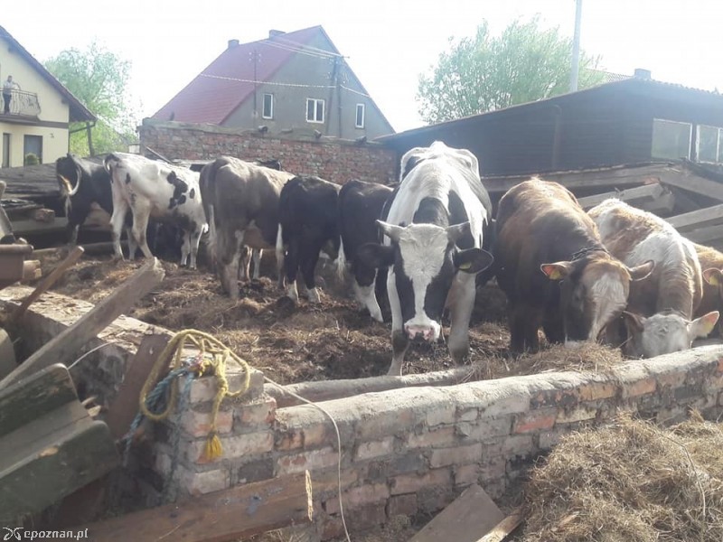 fot. OSP Szydłowo