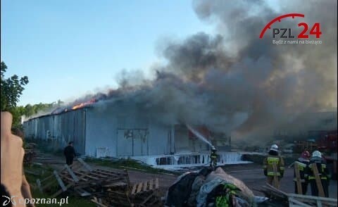 fot. PZL24.pl