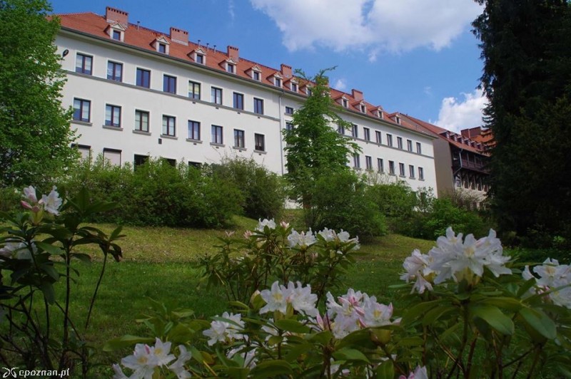 fot. mat. organizatora