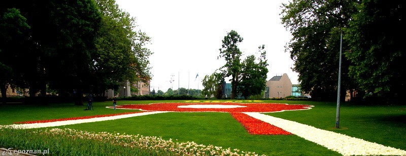fot. Włodzimierz  Hoppel