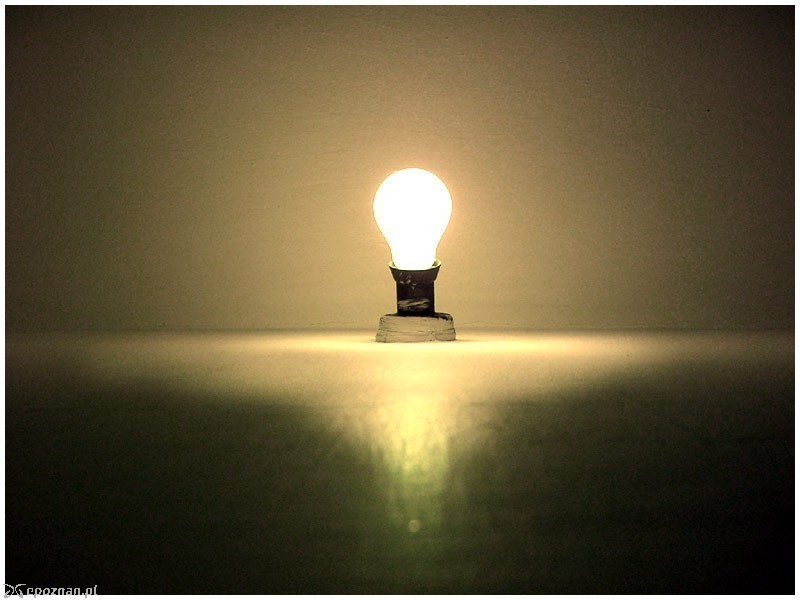 fot. Igore Konforti/freeimages.com
