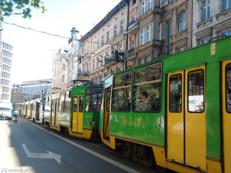fot. Andrzej Urbanowicz