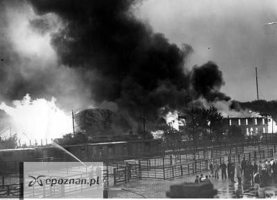 fot. Narodowe Archiwum Cyfrowe/1-G-2121
